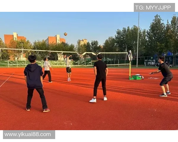 专访陈伟：深入探讨排球背后的成功秘诀与训练哲学